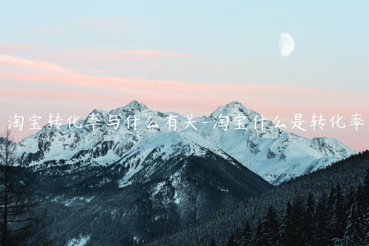 淘寶轉(zhuǎn)化率與什么有關(guān)-淘寶什么是轉(zhuǎn)化率